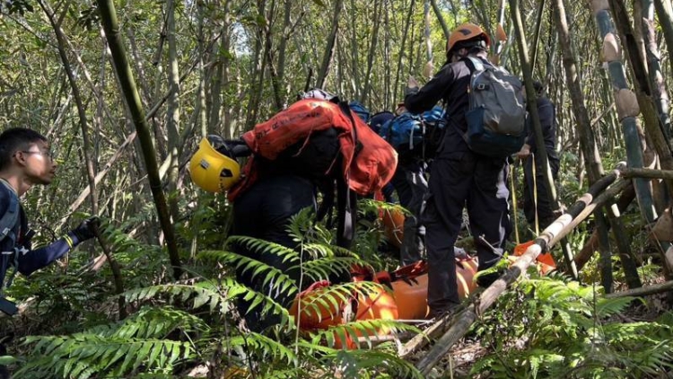 臺灣一登山團遭蜂群攻擊 致2死9傷