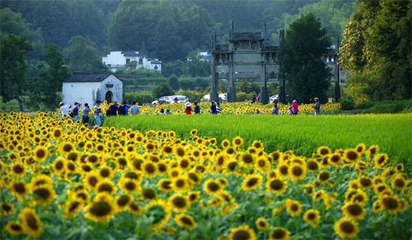 皖徽州區(qū)：「雙輪驅動」打造全域旅遊「徽州模式」