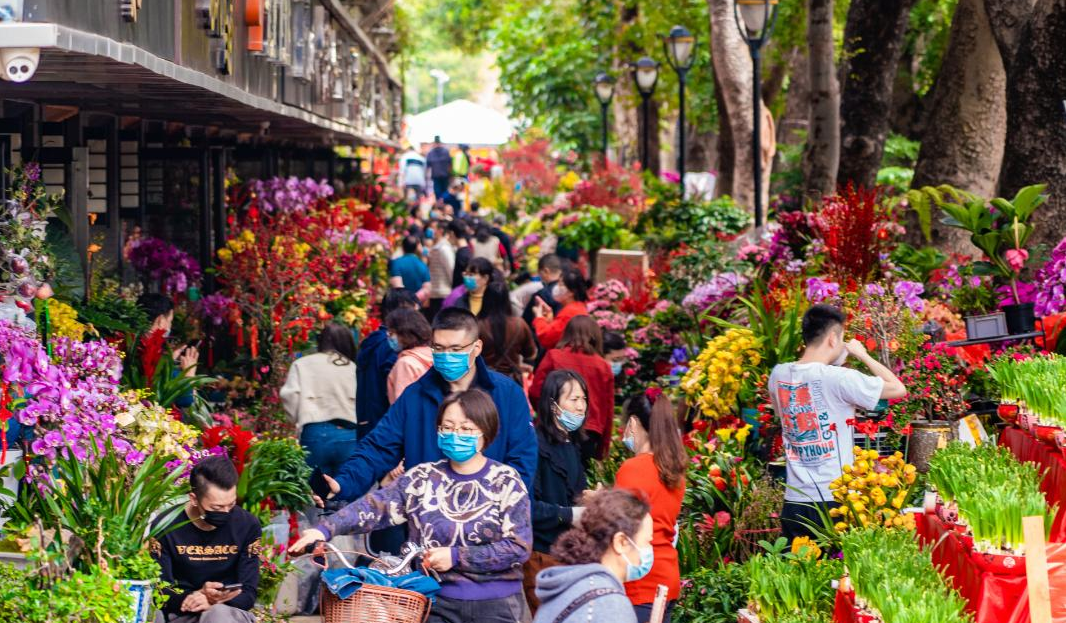 逛花市 買年貨 深圳葵涌迎春花市2月3日至9日舉行