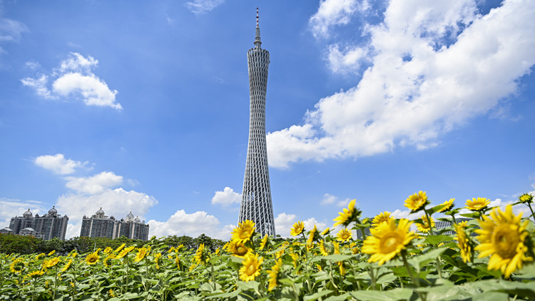 廣東擬打造綠美廣東生態(tài)建設(shè)示範(fàn)帶