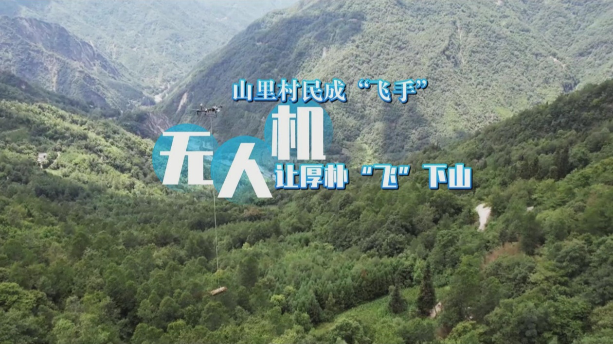 有片︱提升藥材運(yùn)輸效率  四川綿陽(yáng)北川村民成「飛手」