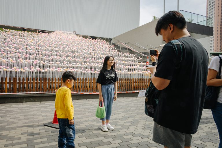 市民爭相與花海合照。